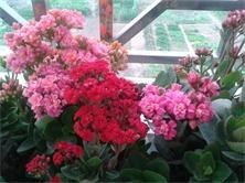 2014-02-04 08.01.13.jpg