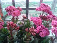 2014-02-04 08.00.49.jpg