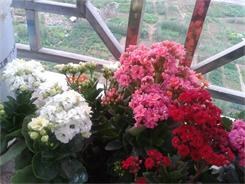 2014-02-04 08.00.31.jpg