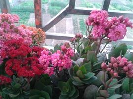 2014-02-04 08.00.14.jpg