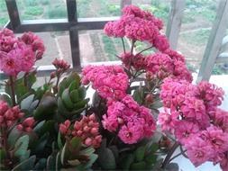 2014-02-04 08.00.04.jpg