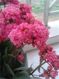 2014-02-04 07.57.58.jpg