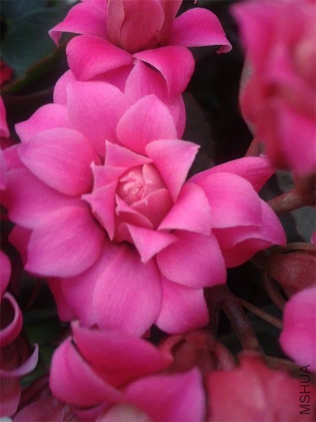 2014-02-04 07.56.30.jpg