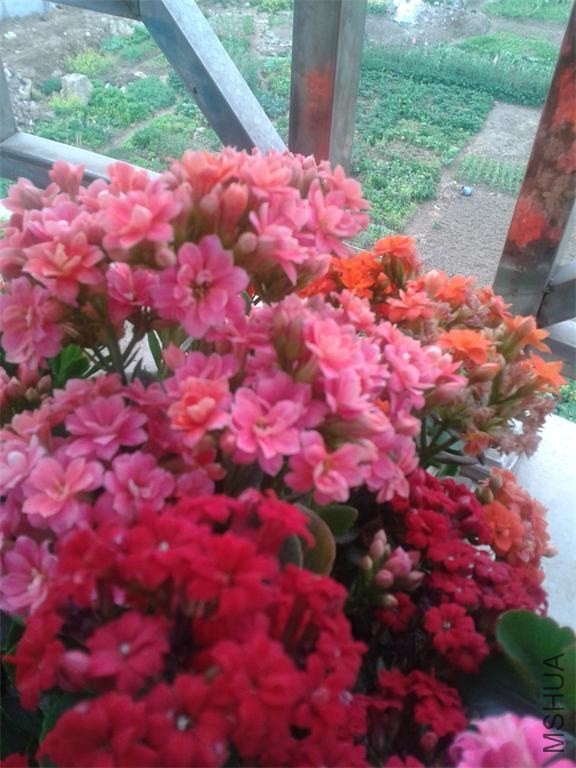 2014-02-04 07.52.49.jpg