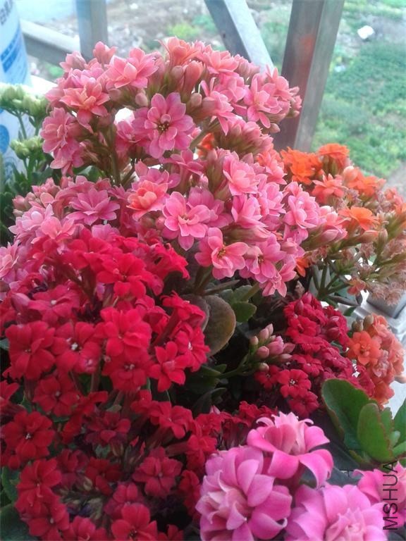 2014-02-04 07.53.02.jpg