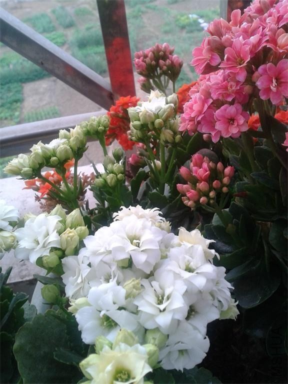 2014-02-04 07.53.30.jpg