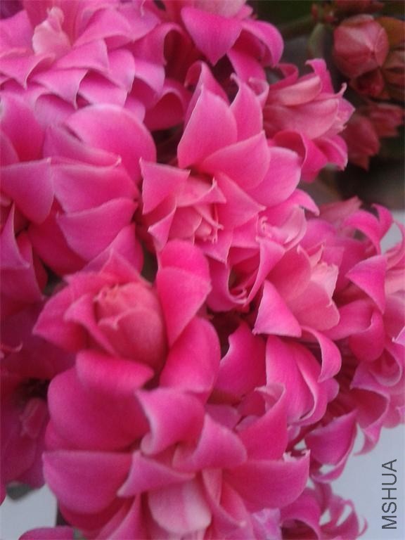 2014-02-04 07.54.56.jpg