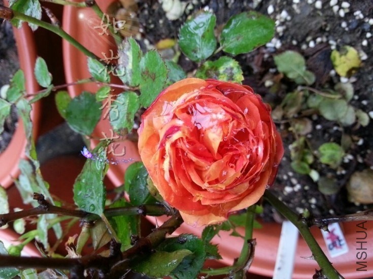 QQͼƬ20140412122023.jpg