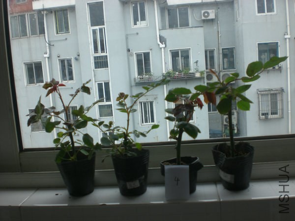 CIMG7147.JPG