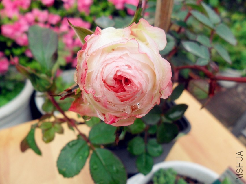 �ɰ��� 3.jpg