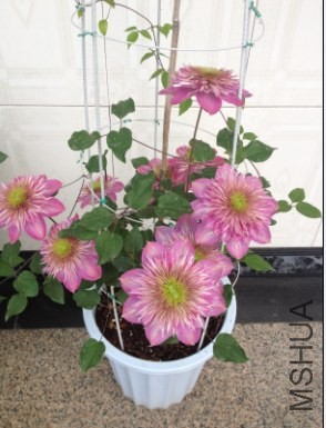 QQ��ͼ20140412143936.jpg