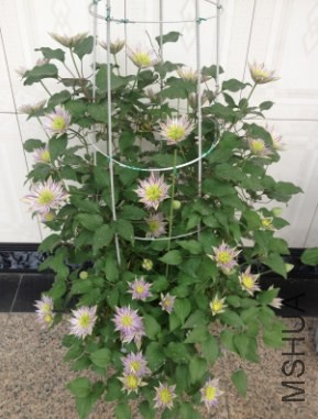 QQ��ͼ20140412143943.jpg