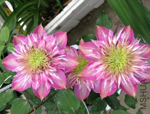 QQ��ͼ20140412144010.jpg