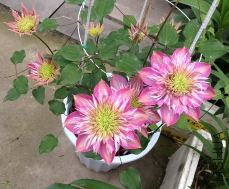 QQ��ͼ20140412144016.jpg