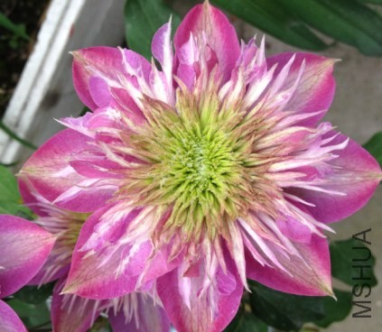 QQ��ͼ20140412144022.jpg
