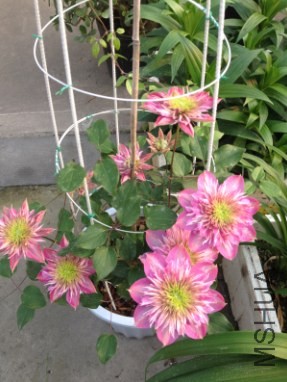 QQ��ͼ20140412144029.jpg