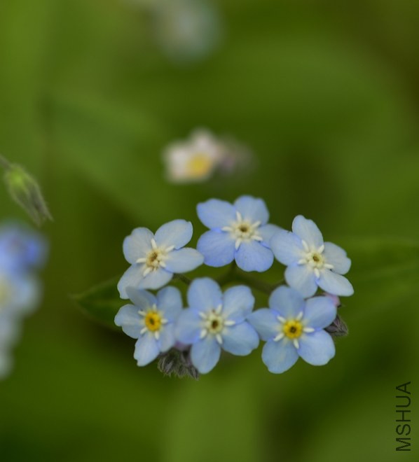 _DSC9932_edited-2.jpg