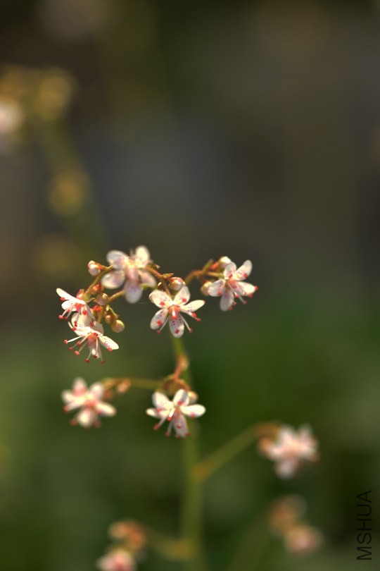 _DSC9941_edited-4.jpg