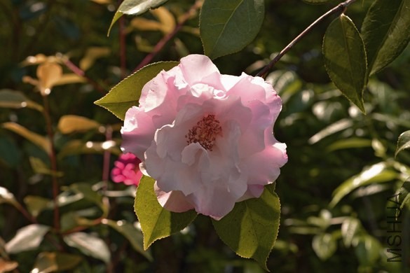 _DSC9917_edited-1.jpg