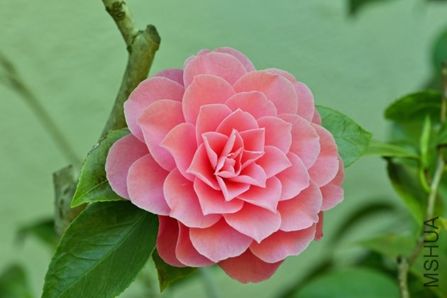 _DSC9886_edited-1.jpg