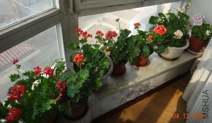 QQͼƬ20140412085354.jpg