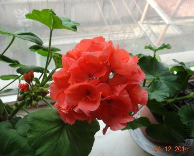 QQͼƬ20140412085411.jpg