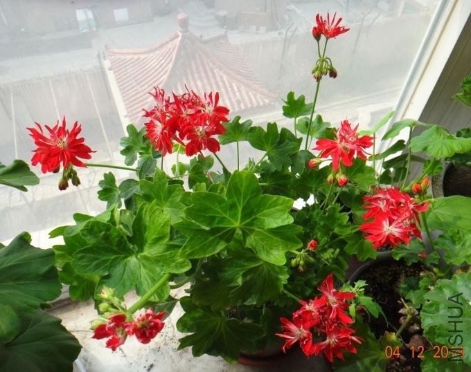 QQͼƬ20140412091830.jpg