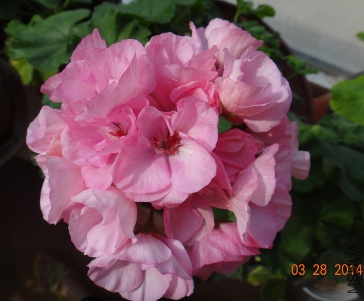 QQͼƬ20140328102046.jpg