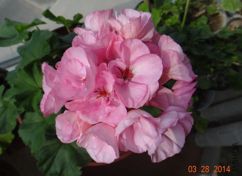 QQͼƬ20140328102036.jpg