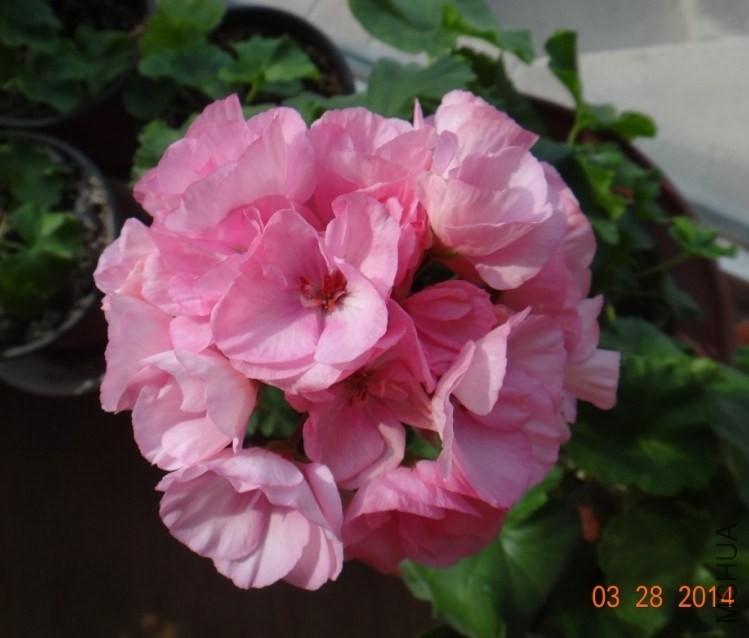QQͼƬ20140328102114.jpg