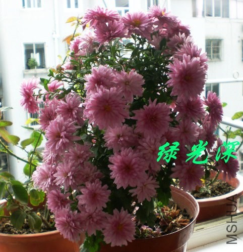 psb (39).jpg