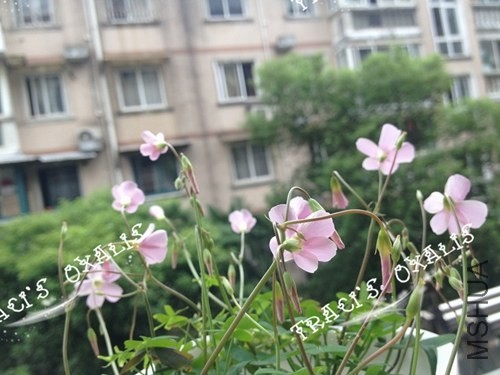 ��Ƭ 1243.jpg