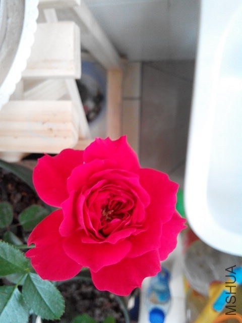 IMG_20140412_173840.jpg