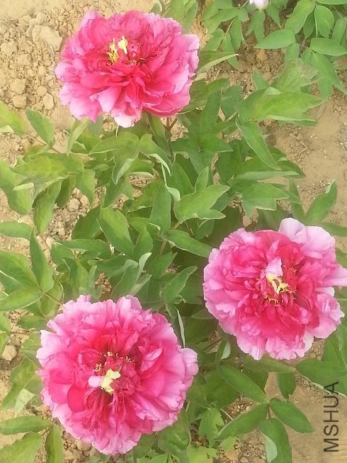 20140413_153837.jpg