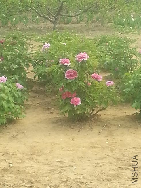 20140413_145810.jpg