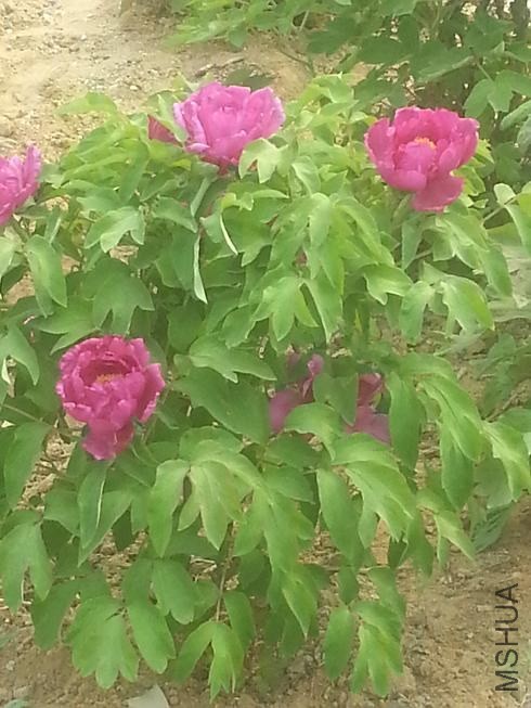 20140413_145844.jpg