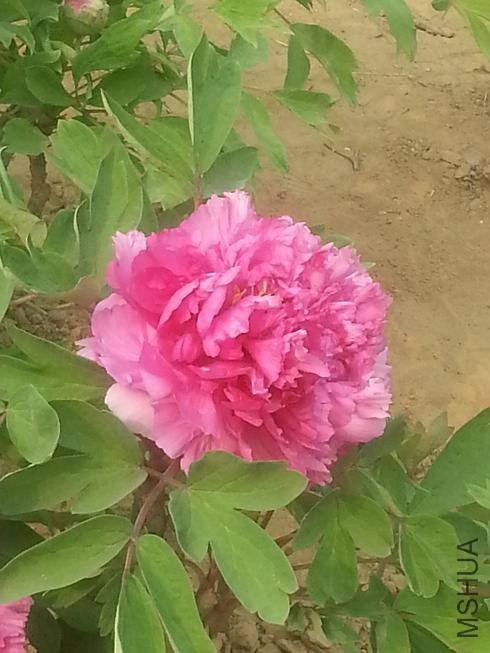 20140413_150426.jpg