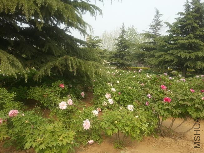 20140413_150612.jpg