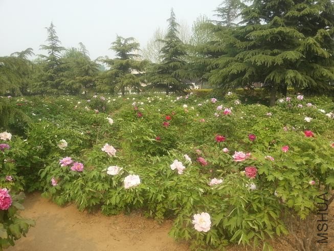 20140413_150624.jpg