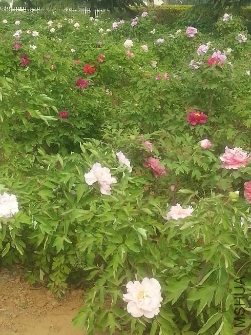 20140413_150637.jpg