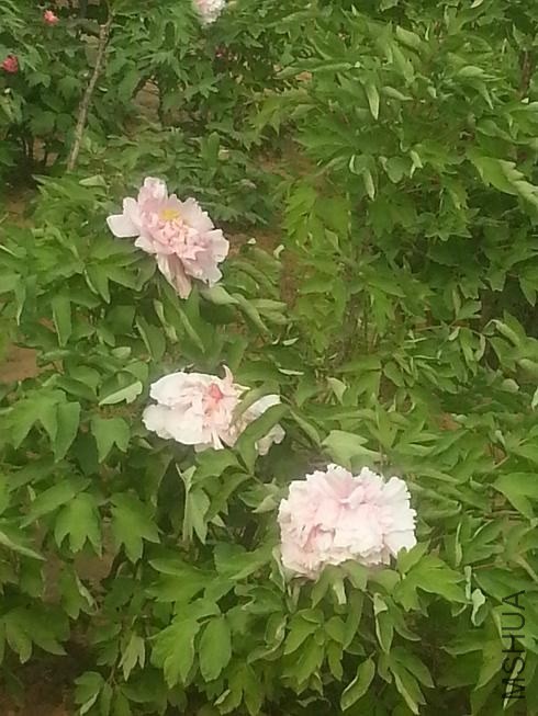 20140413_150645.jpg