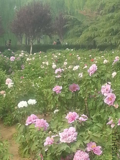 20140413_150943.jpg