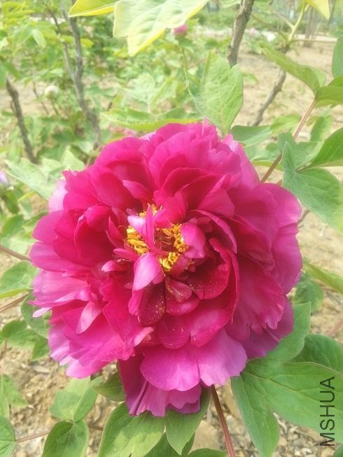 20140413_151728.jpg