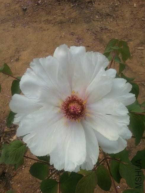20140413_151744.jpg