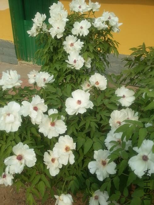 20140413_151933.jpg