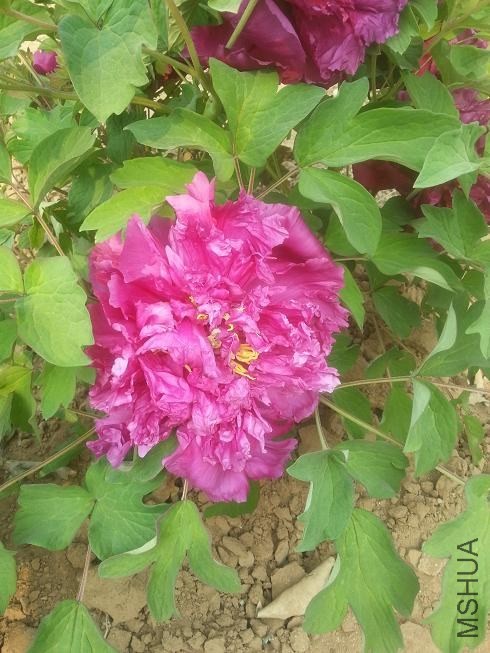 20140413_152546.jpg