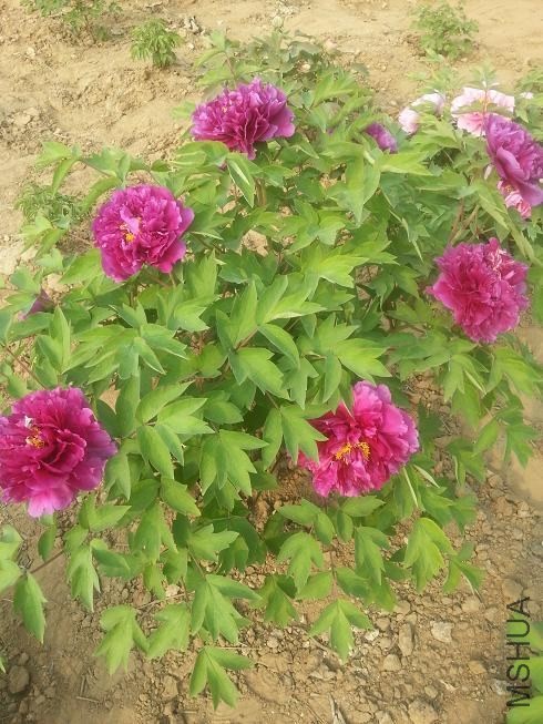 20140413_153433.jpg