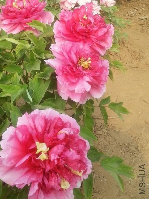 20140413_153511.jpg