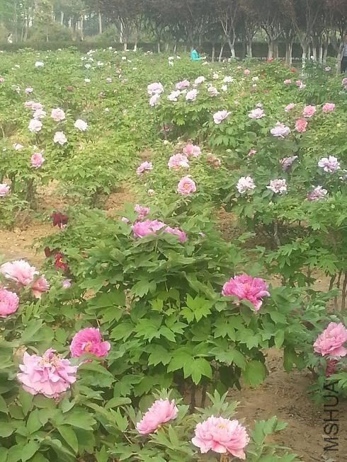 20140413_153913.jpg