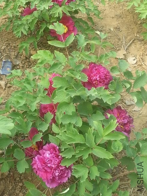 20140413_154312.jpg